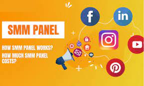 Unveiling the Power of SMM Panels: A Comprehensive Guide